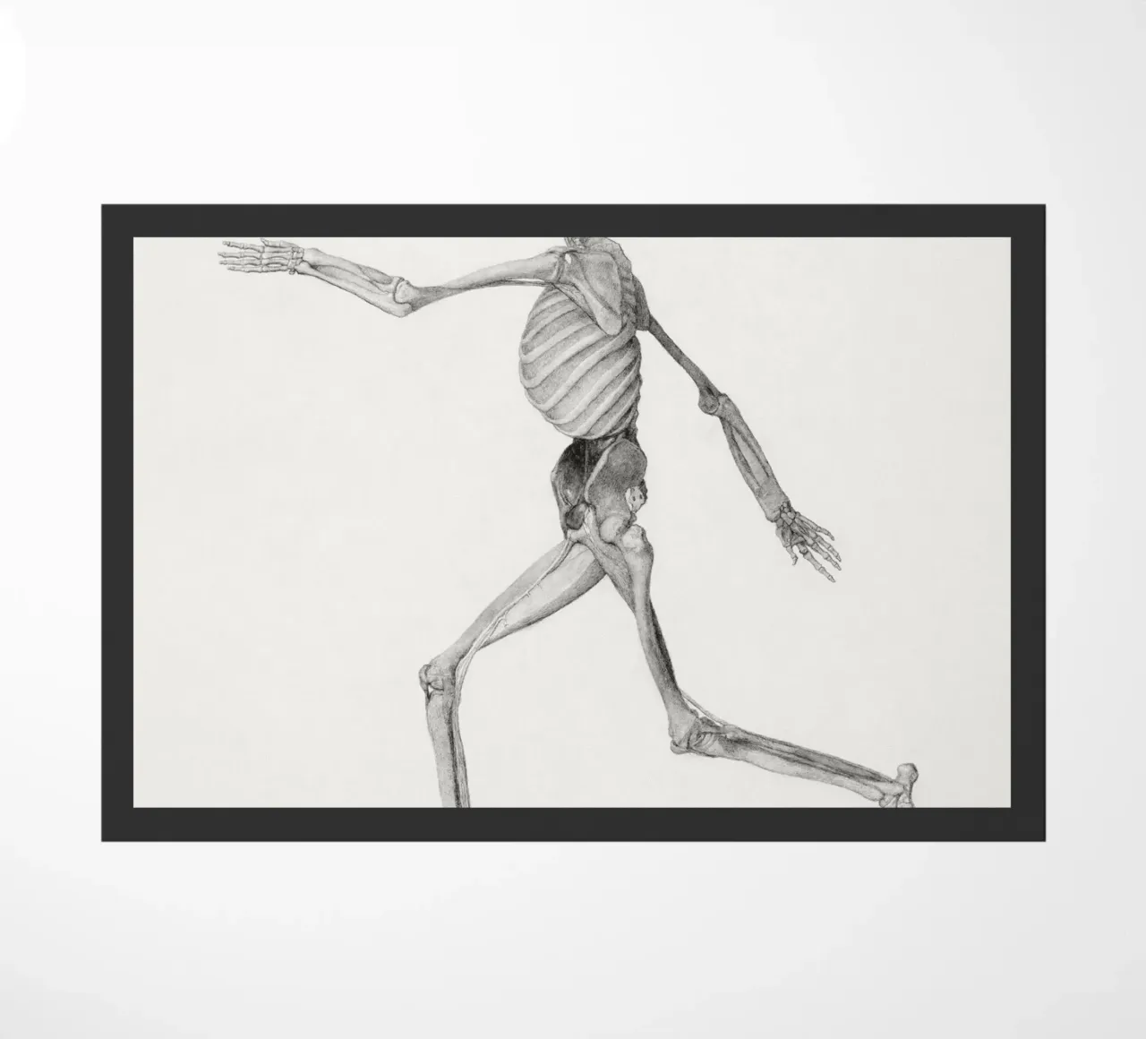 Human Skeleton doormat by vintageshop