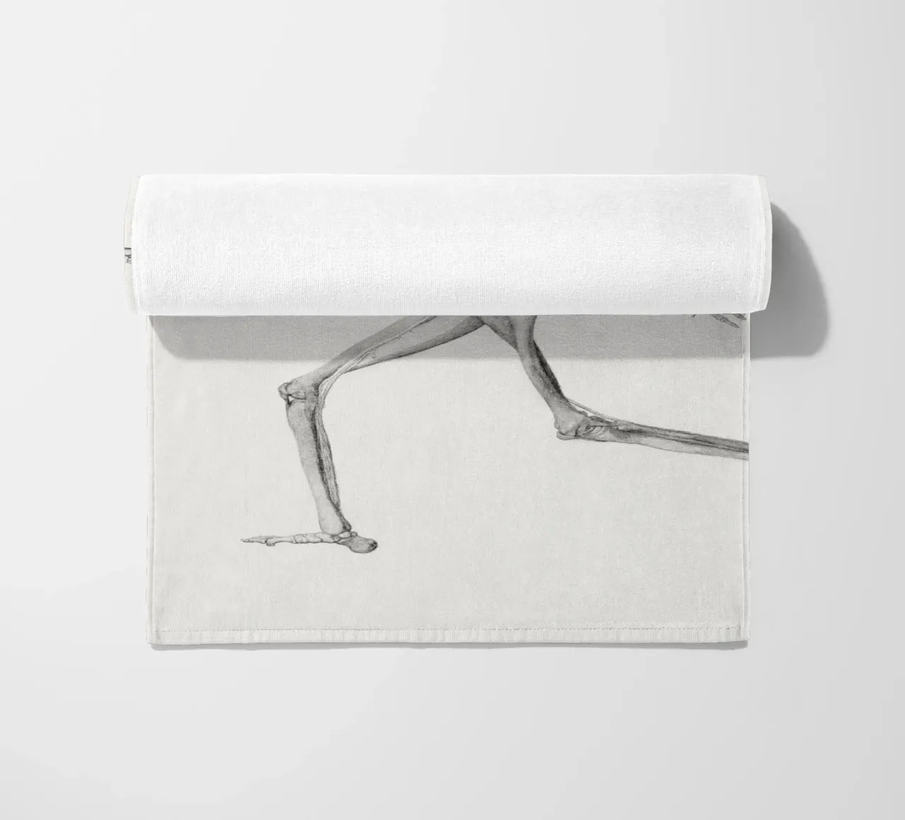 Human Skeleton telo mare da vintageshop