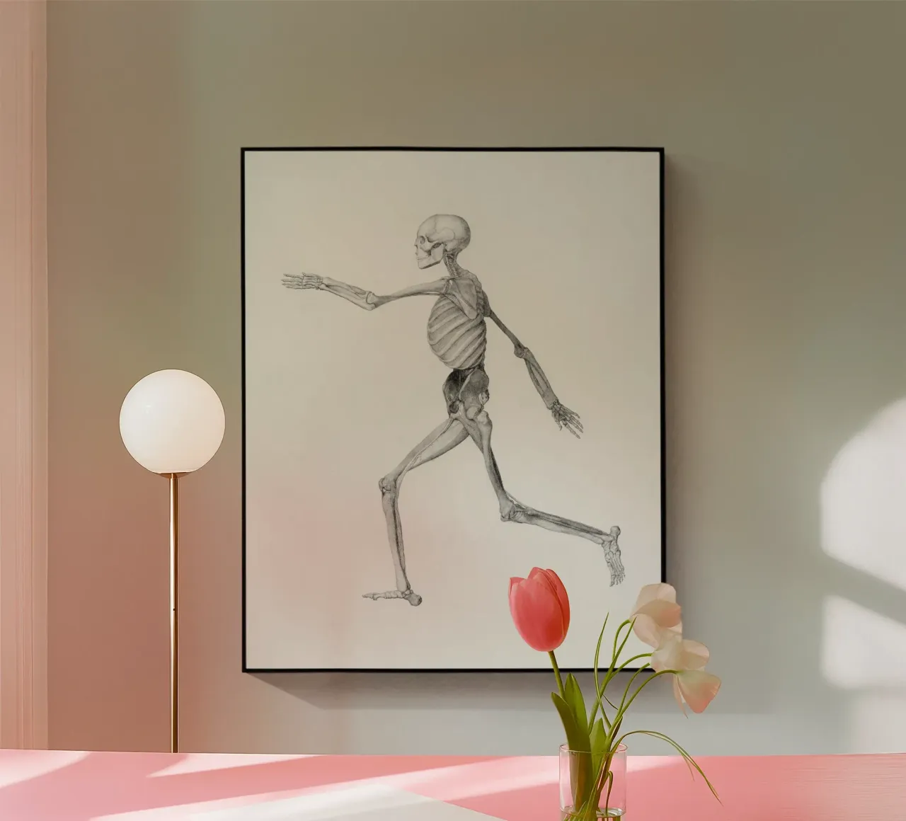 Human Skeleton plexiglas de vintageshop