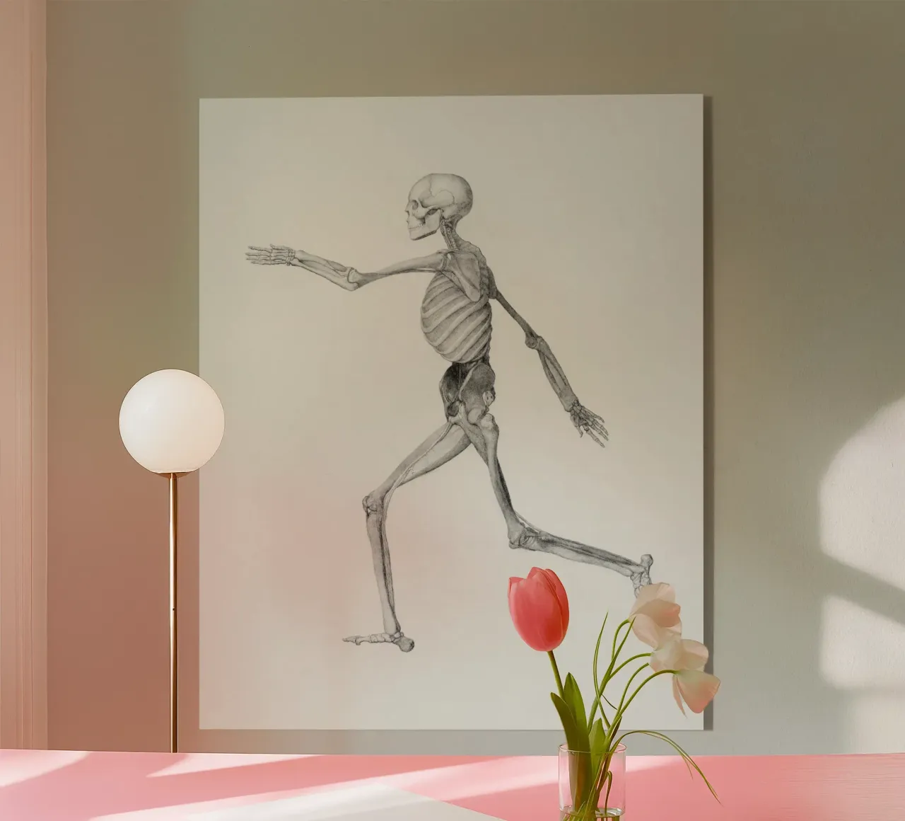 Human Skeleton plexiglas de vintageshop