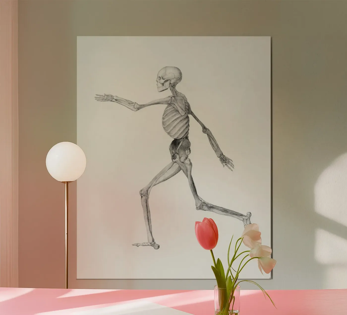 Human Skeleton poster van vintageshop