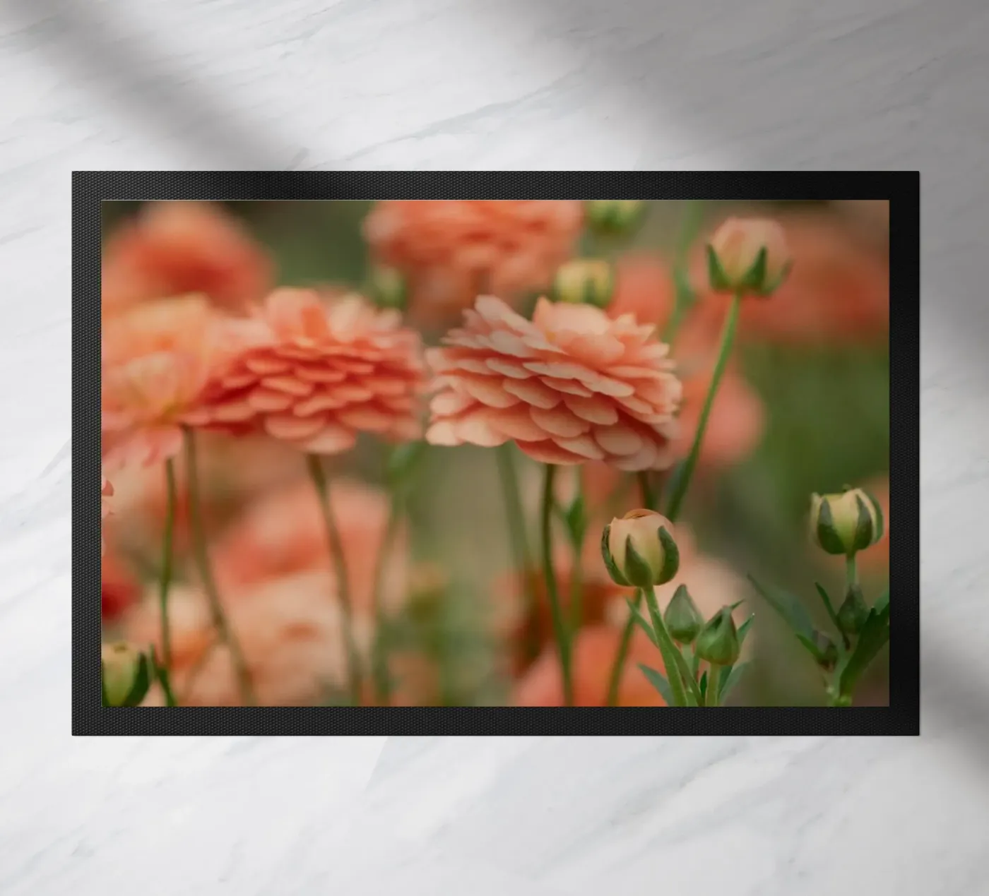 rosa zerbino da Earthly Visions