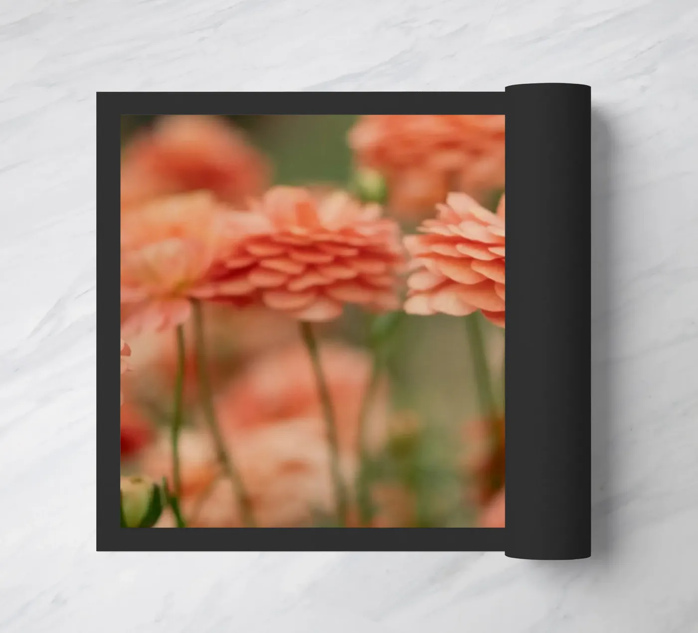 rosa zerbino da Earthly Visions