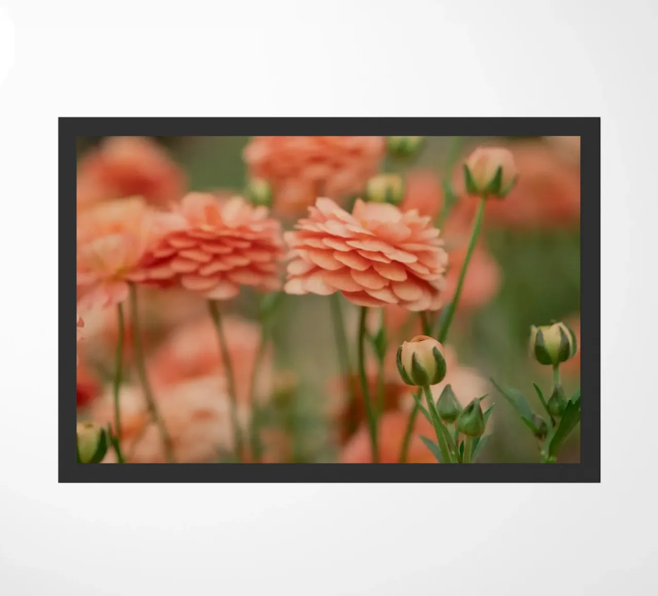 roos deurmat van Earthly Visions