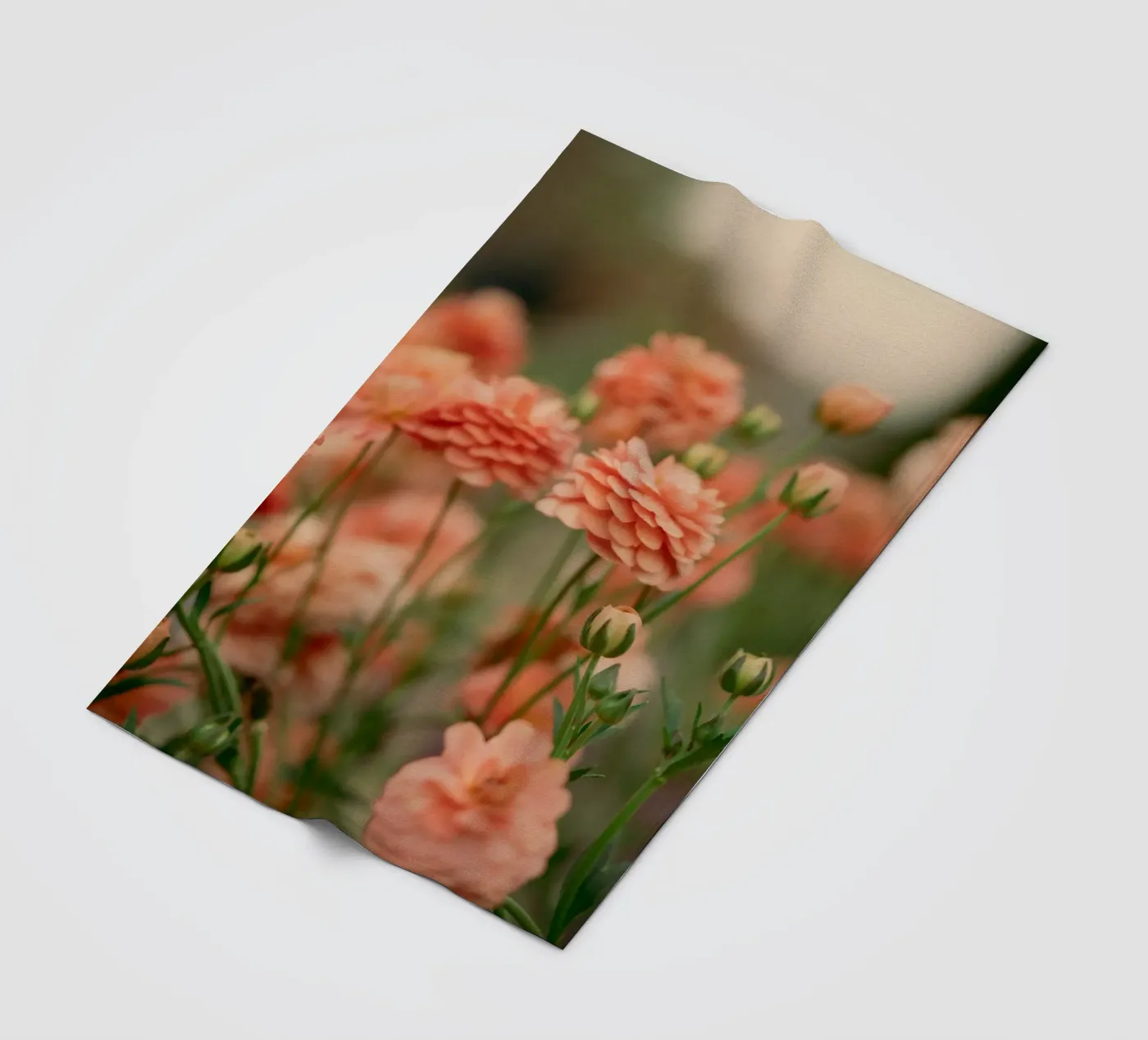 Rose Fleecedecke von Earthly Visions