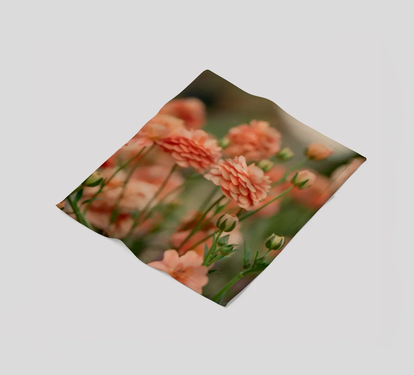 Rose Fleecedecke von Earthly Visions