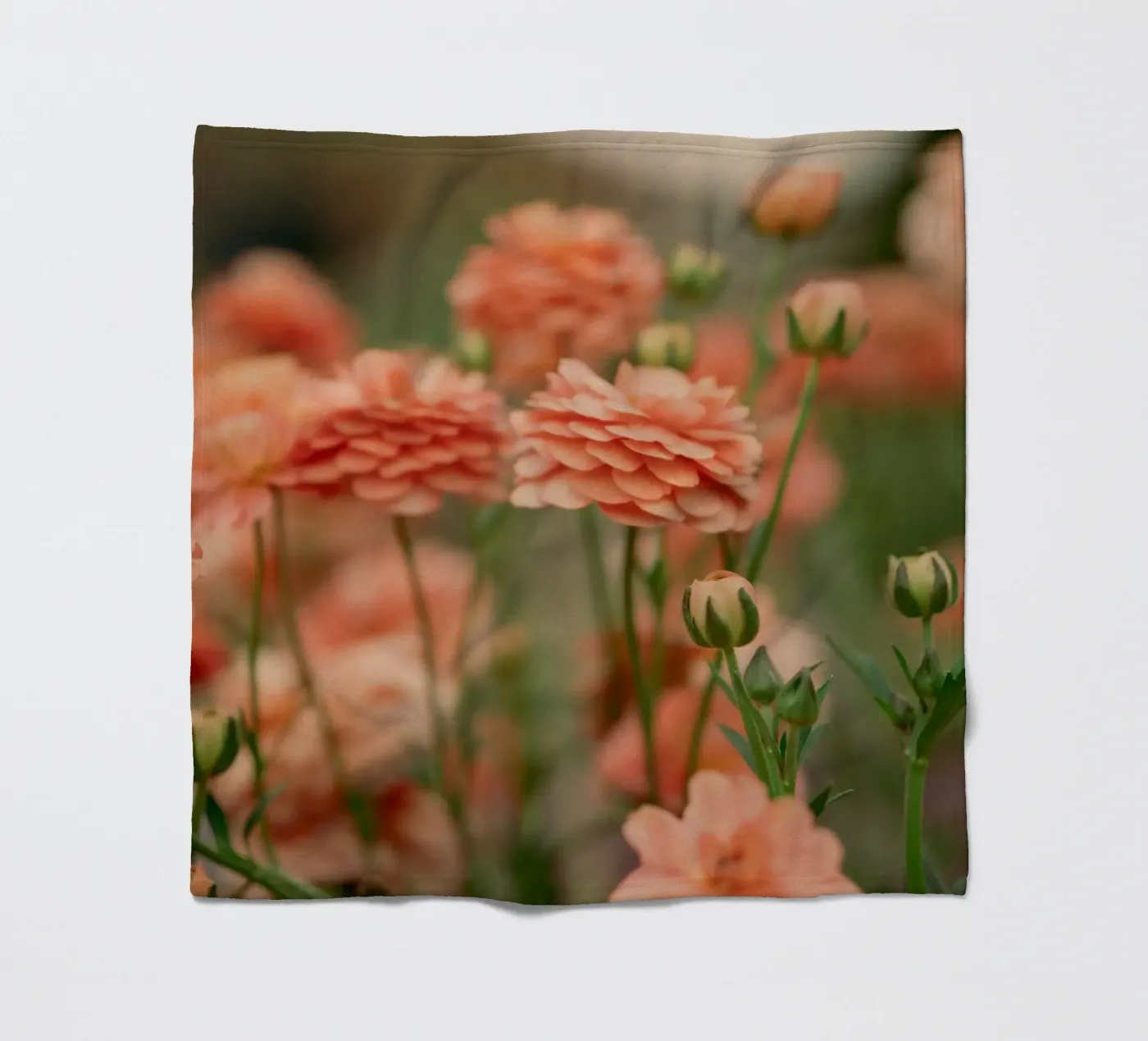 Rose Fleecedecke von Earthly Visions