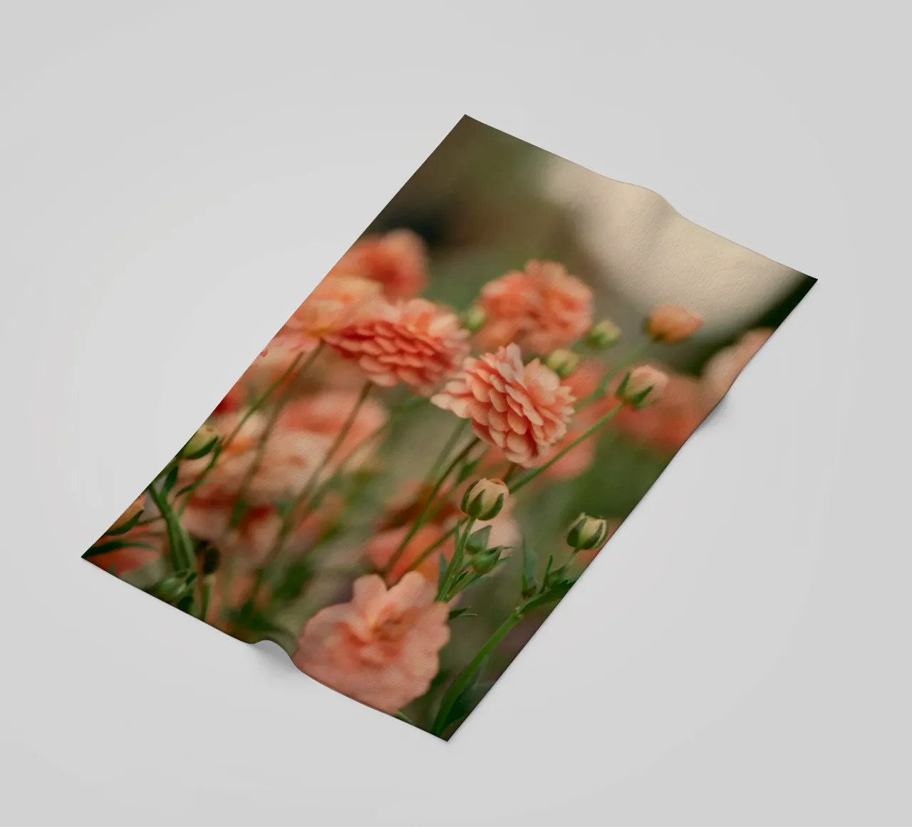 rose telo mare da Earthly Visions