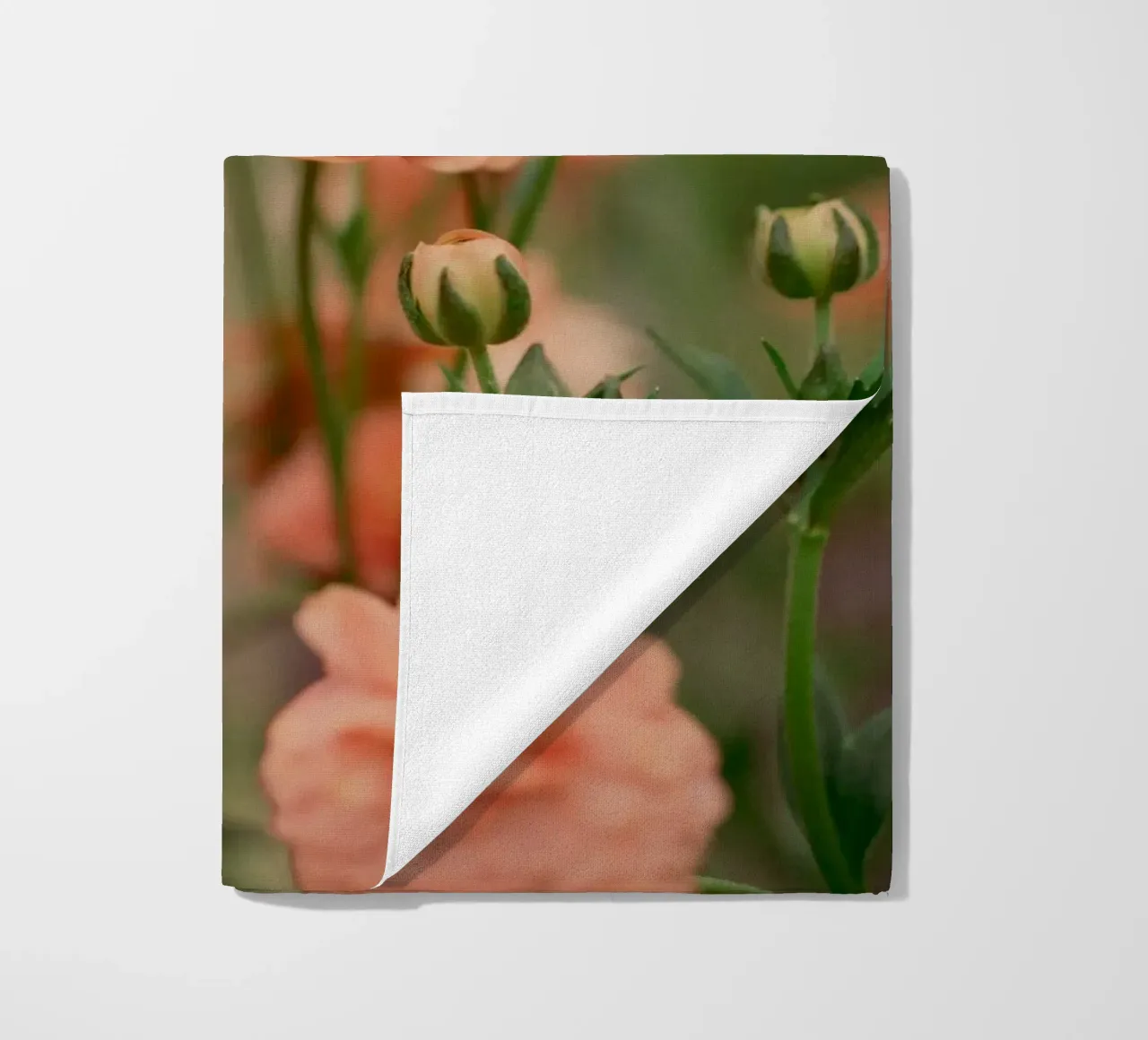 rose telo mare da Earthly Visions