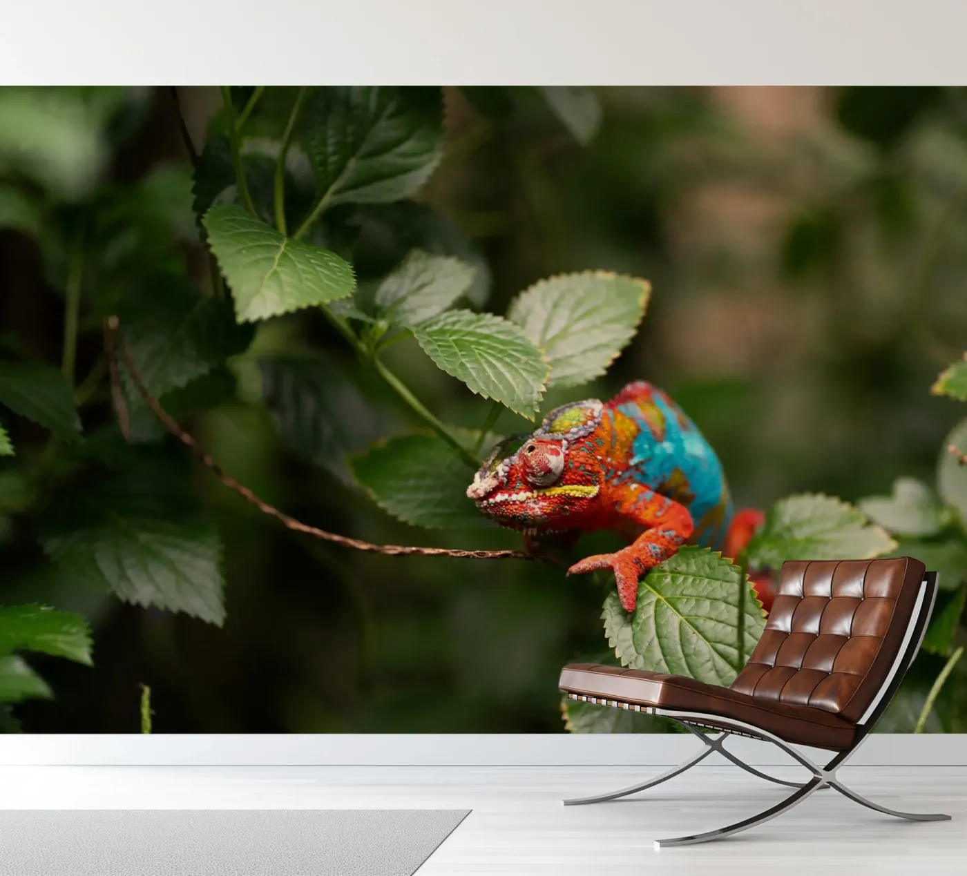 red frog fotobehang van Earthly Visions