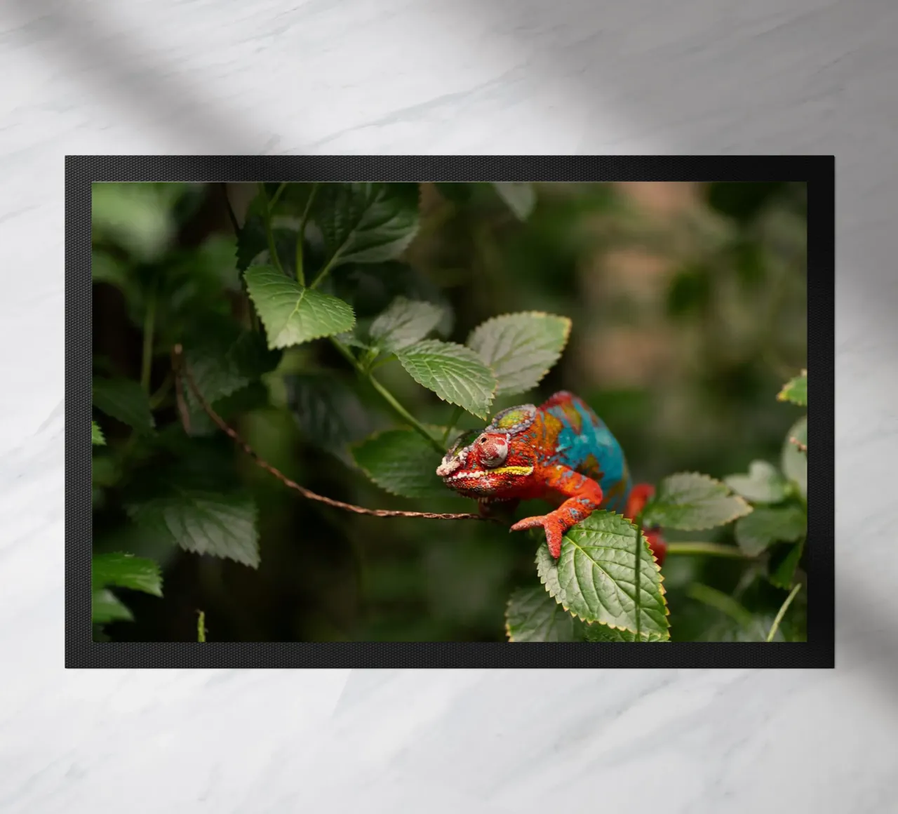 red frog doormat by Earthly Visions