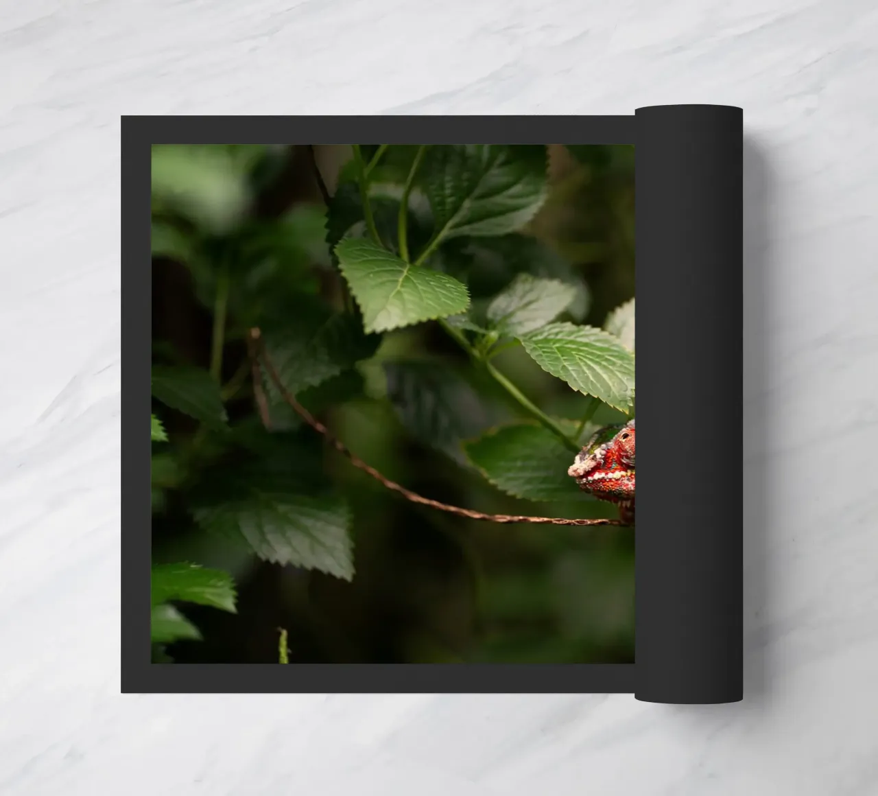 red frog doormat by Earthly Visions