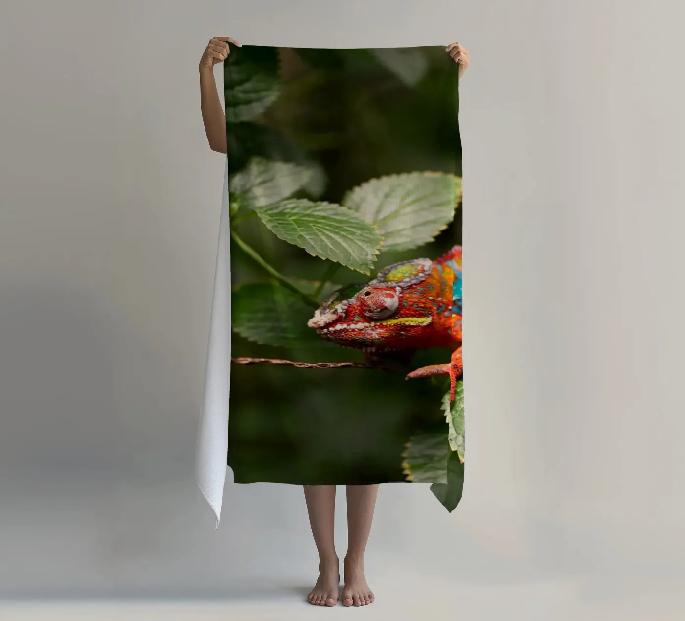 red frog Strandtuch von Earthly Visions