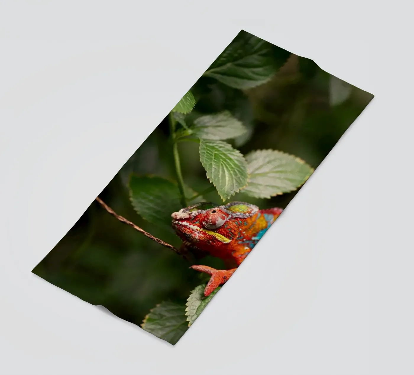 red frog Strandtuch von Earthly Visions