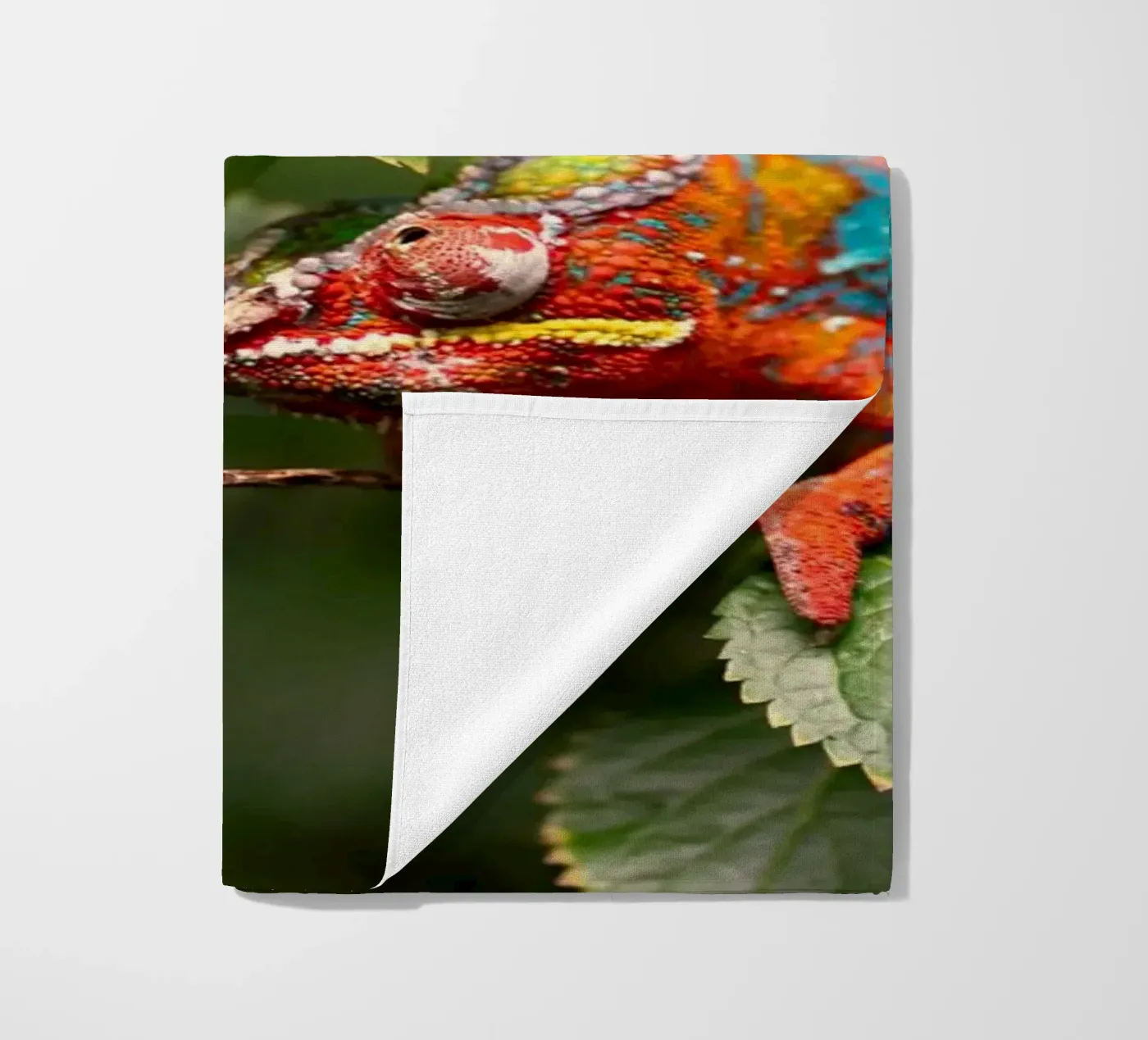 red frog Strandtuch von Earthly Visions