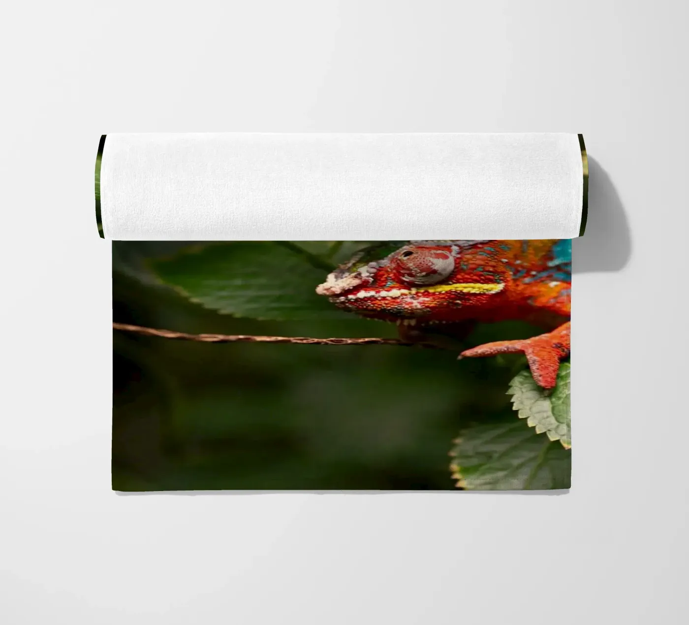 red frog Strandtuch von Earthly Visions