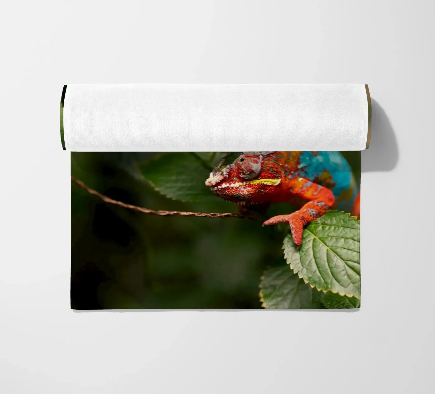 red frog Strandtuch von Earthly Visions