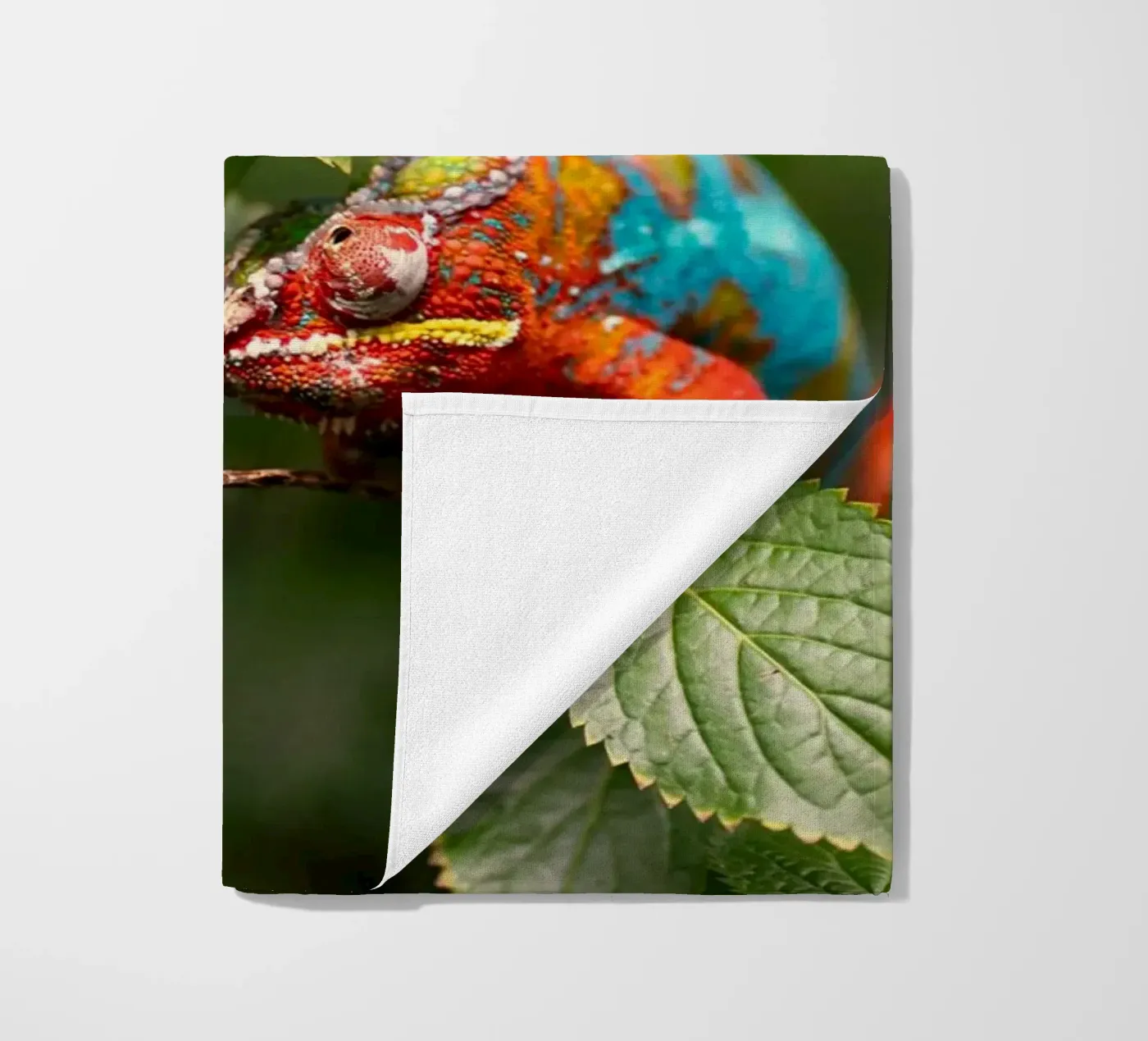 red frog Strandtuch von Earthly Visions