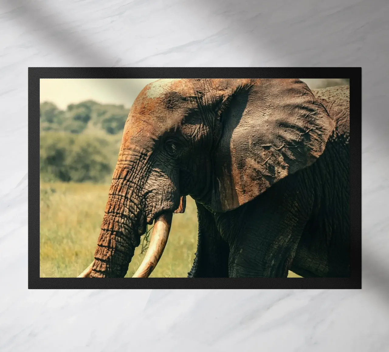 elefante zerbino da Earthly Visions