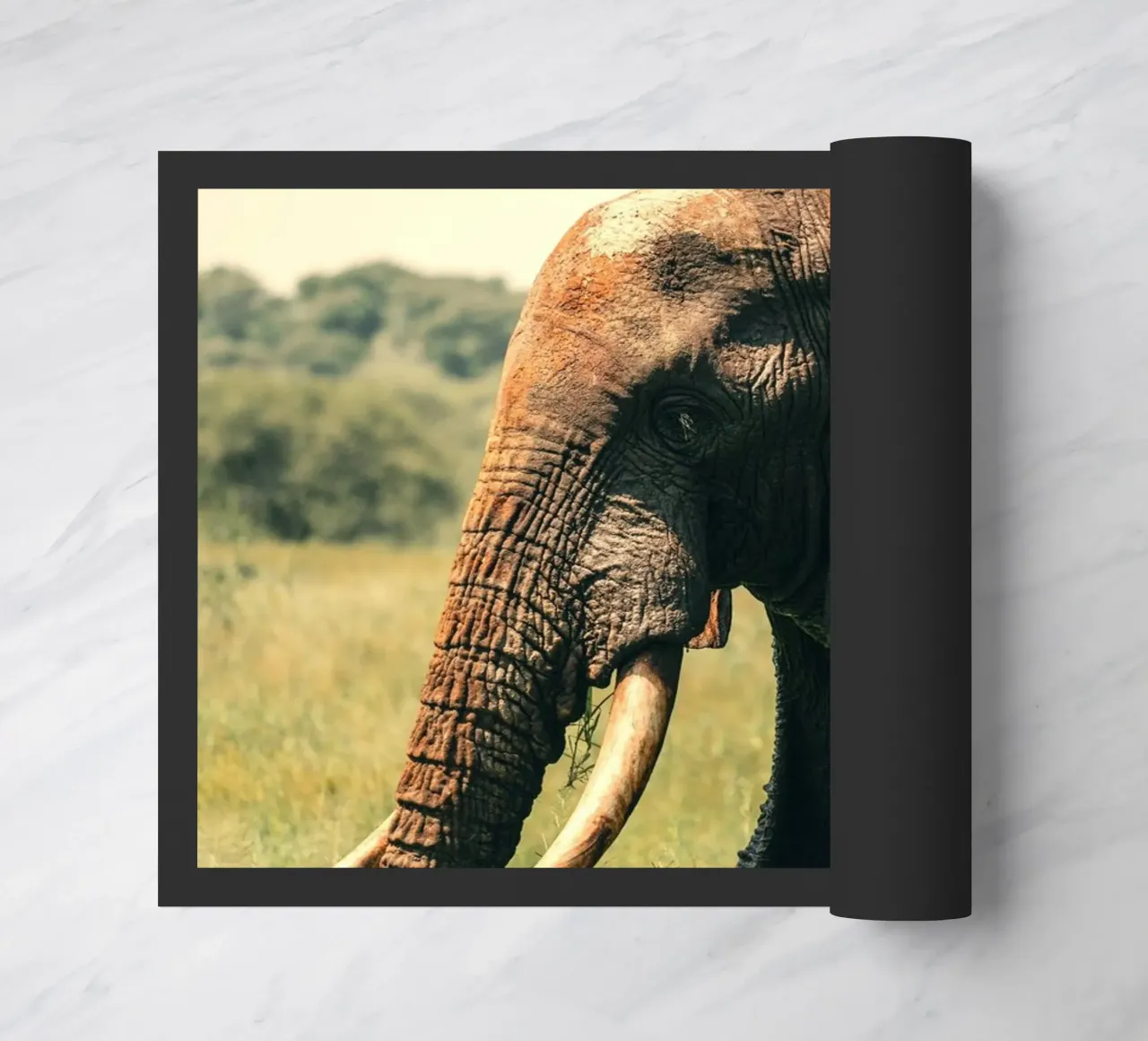 elefante zerbino da Earthly Visions