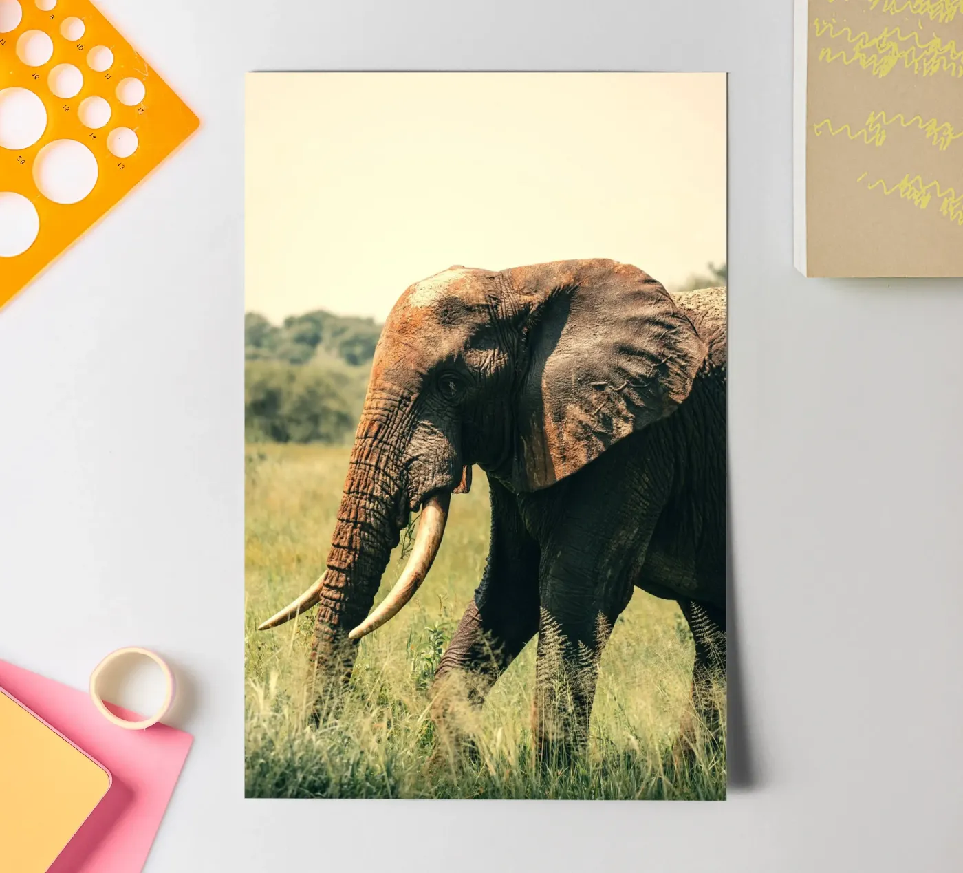 elephant sticker sheet by Earthly Visions
