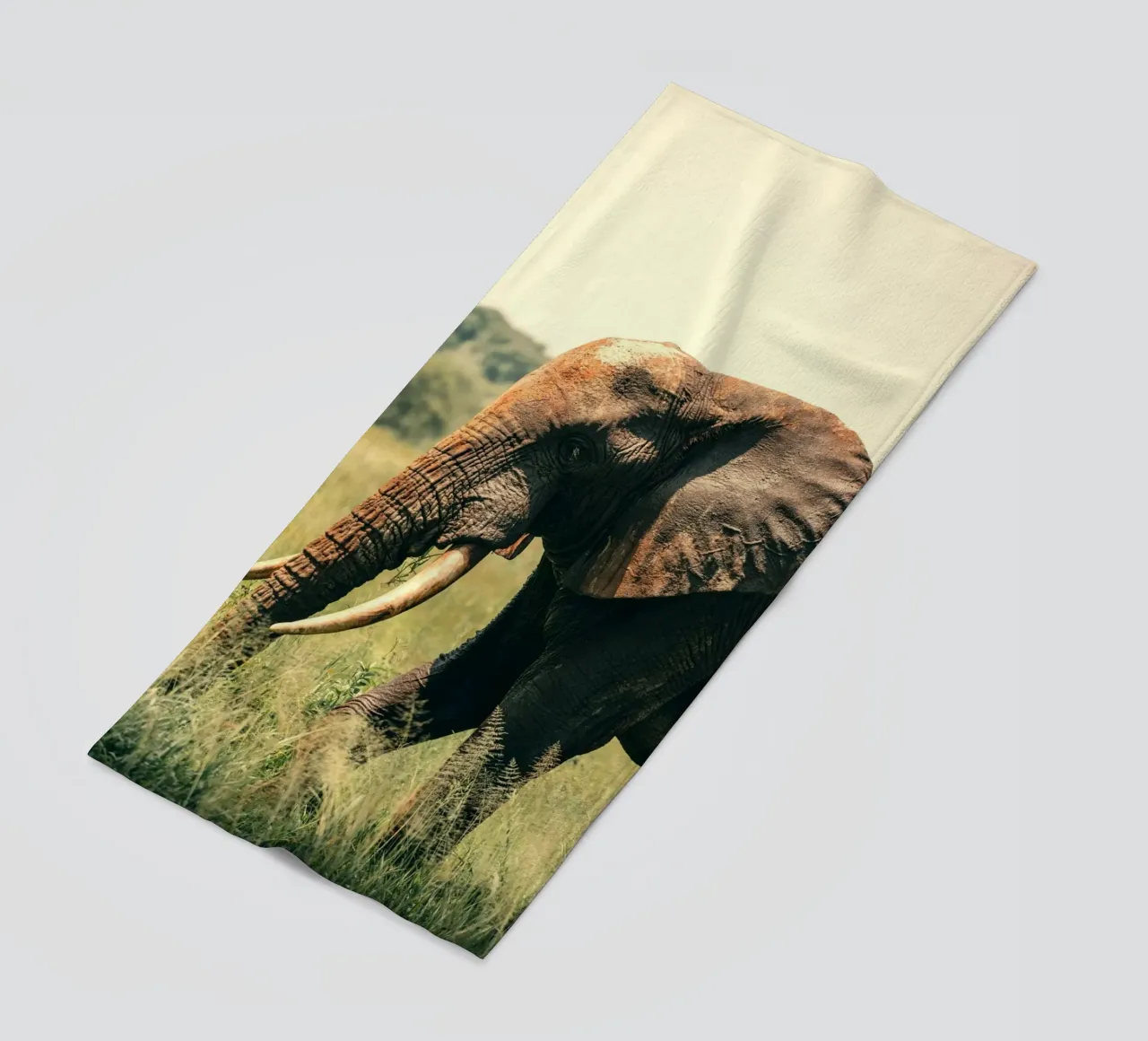 elephant telo mare da Earthly Visions