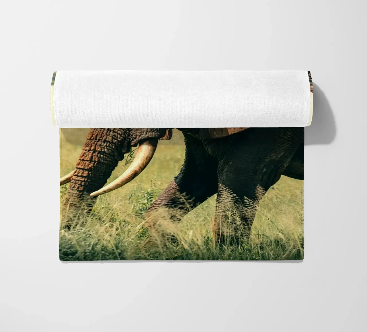 elephant telo mare da Earthly Visions