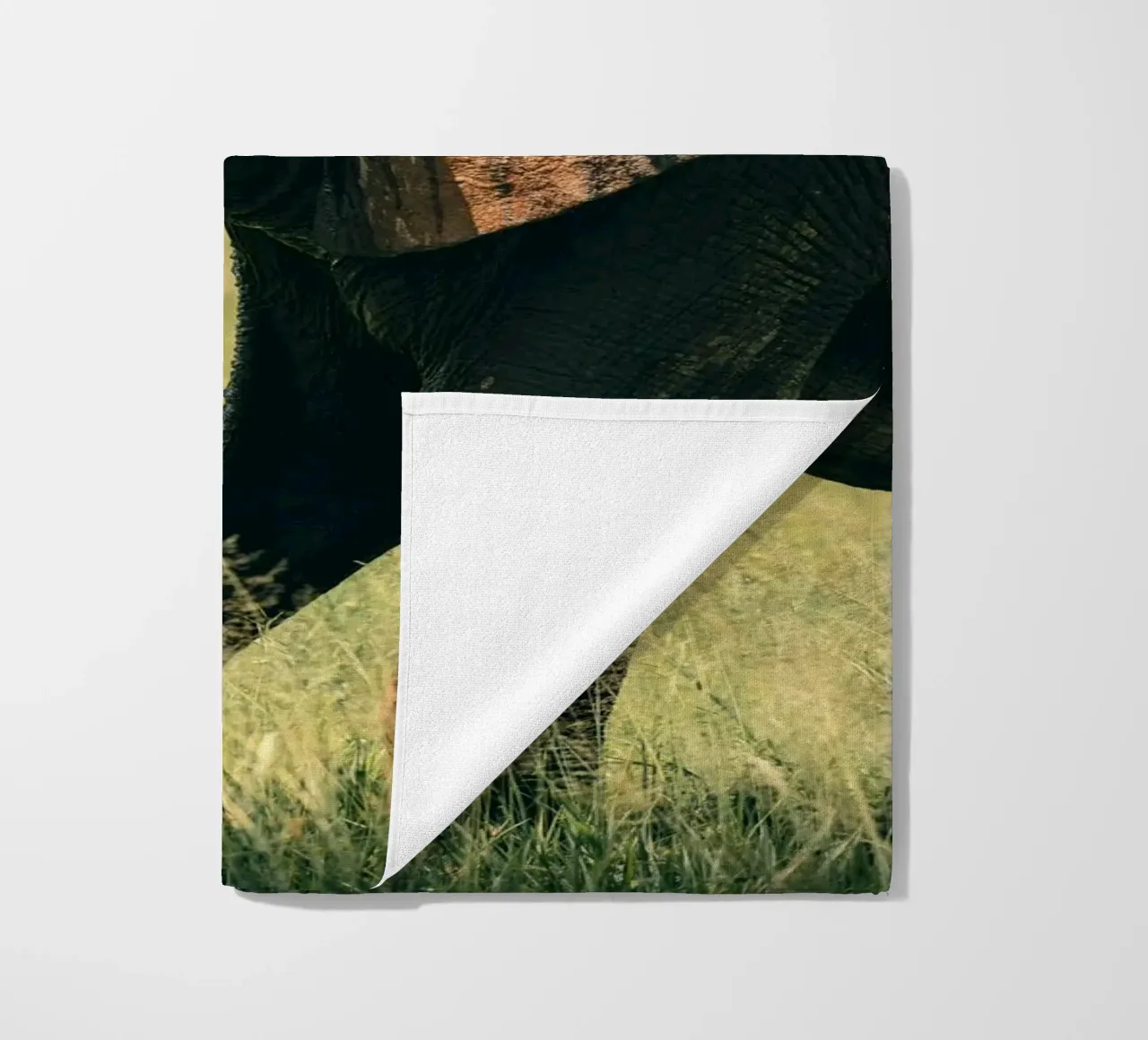 elephant telo mare da Earthly Visions