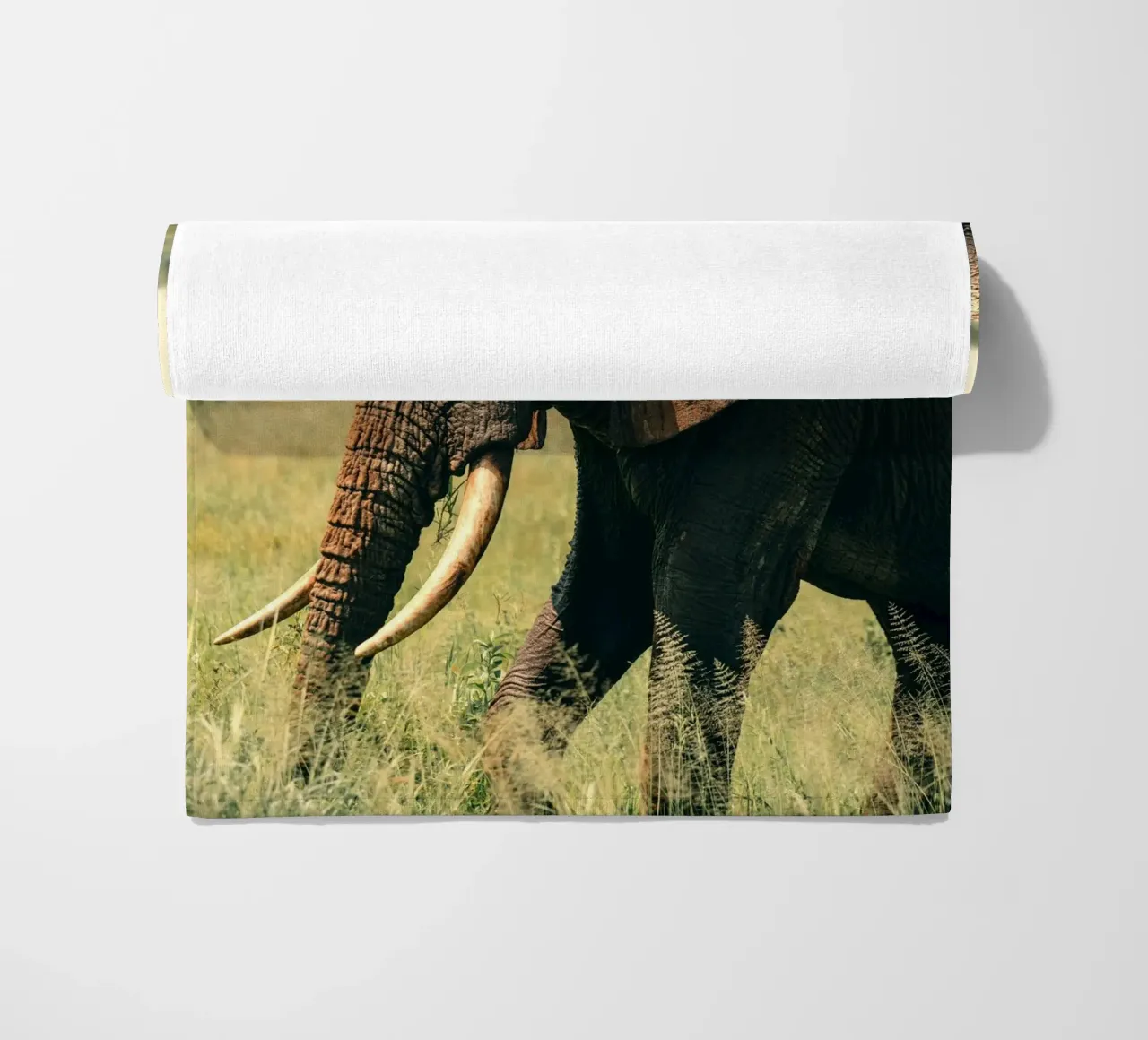 elephant telo mare da Earthly Visions