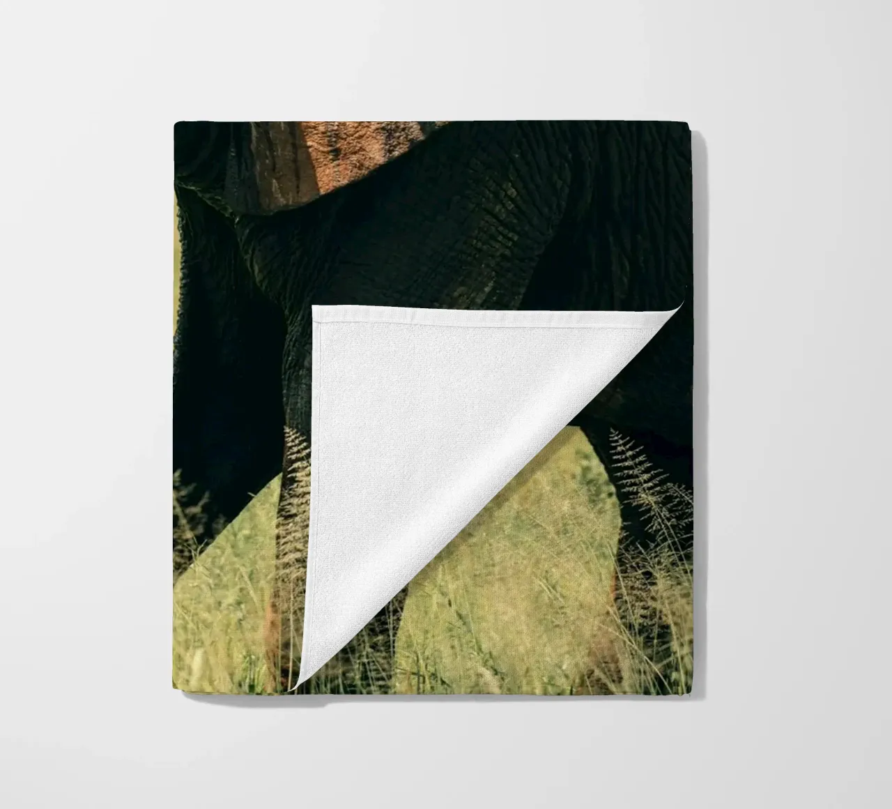 elephant telo mare da Earthly Visions