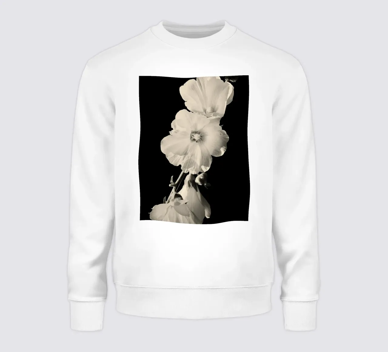 orchidea felpa da Earthly Visions