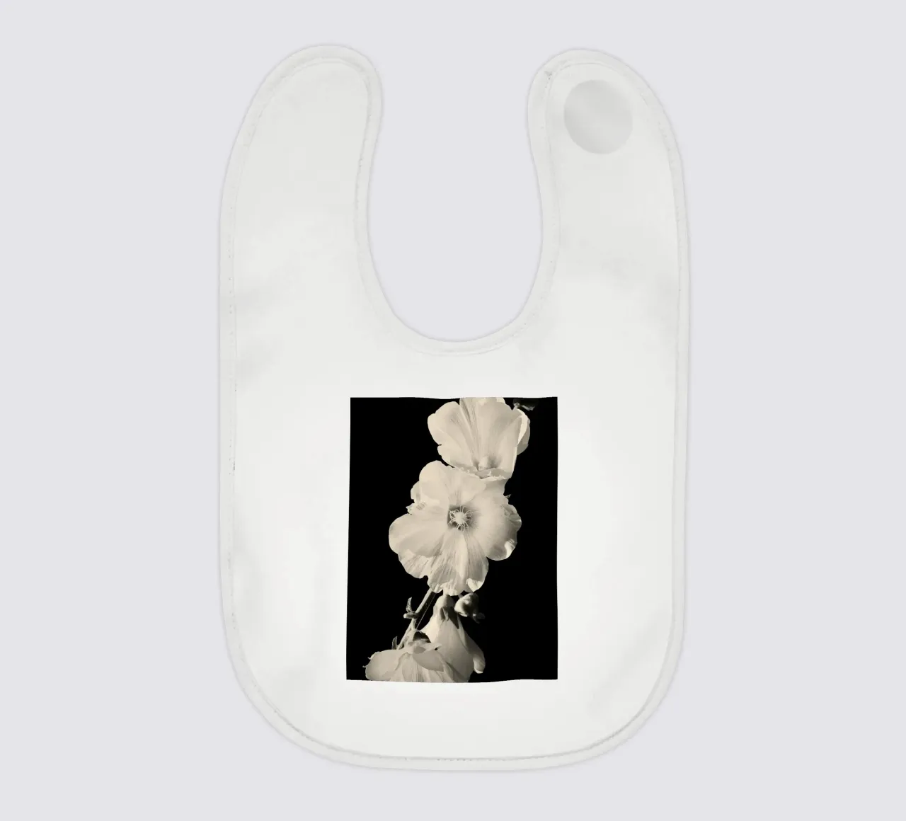 orchidea bavaglino da Earthly Visions