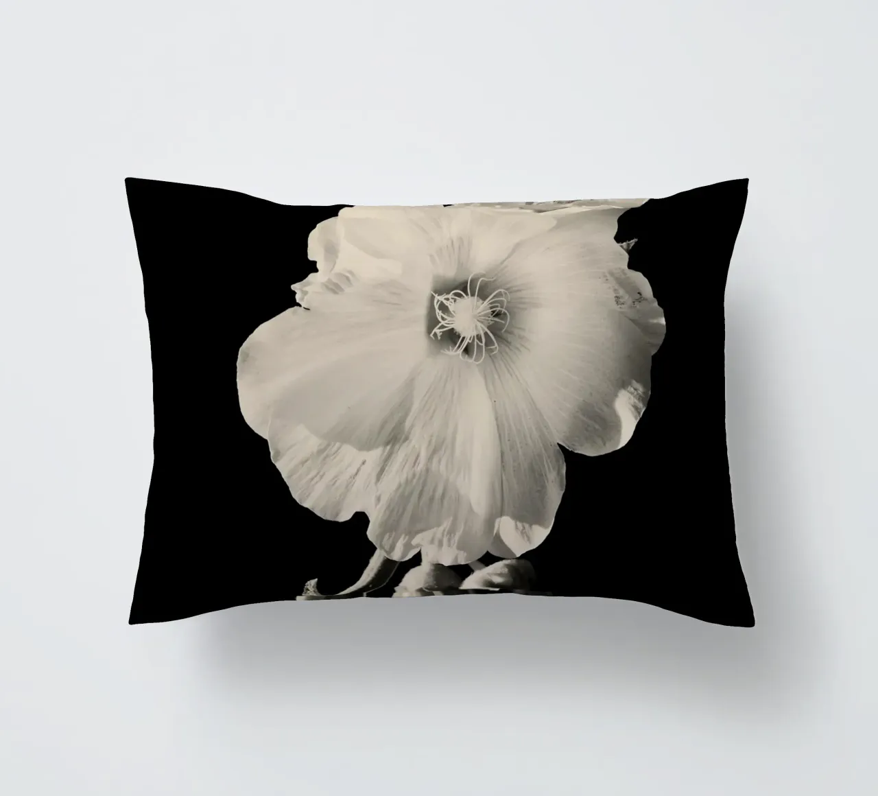 orchidea cuscino da Earthly Visions