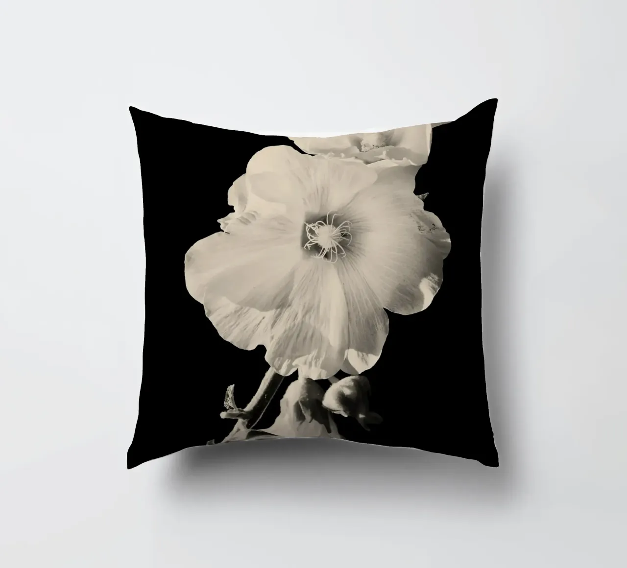 orchidea cuscino da Earthly Visions