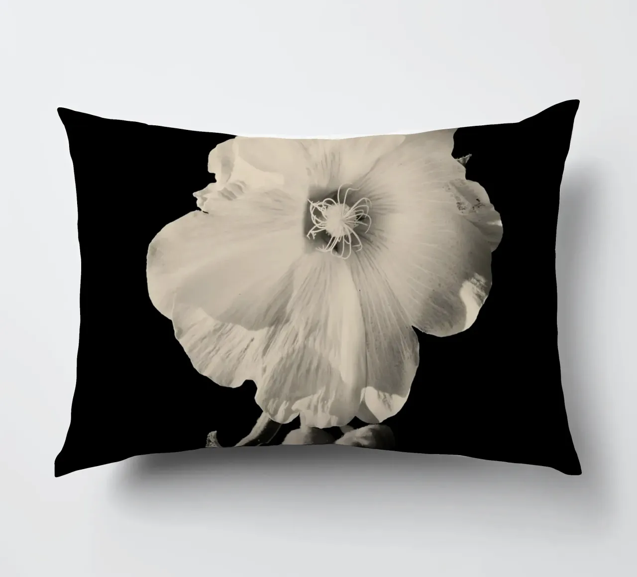 orchidea cuscino da Earthly Visions