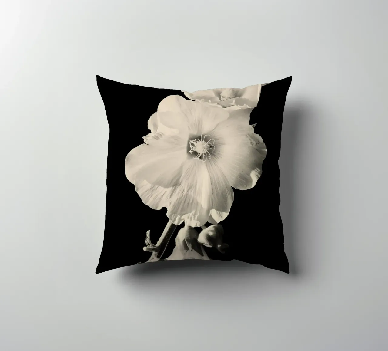 orchidea cuscino da Earthly Visions