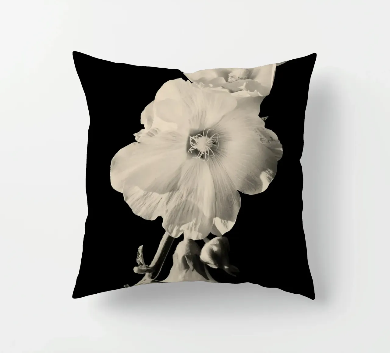 orchidea cuscino da Earthly Visions