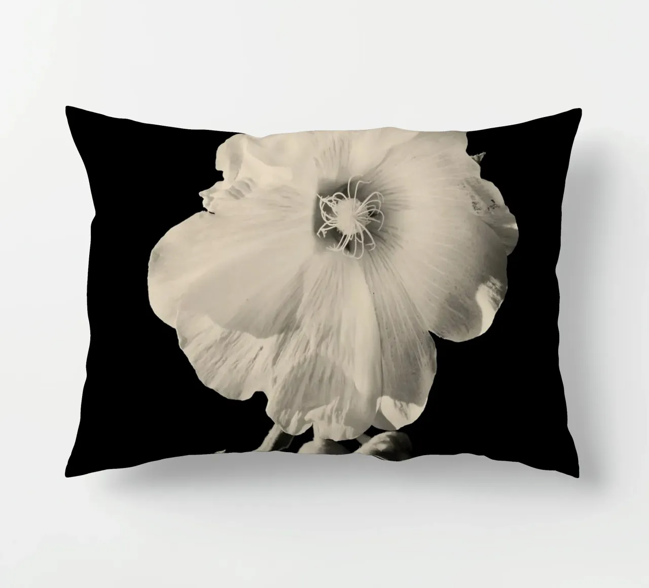 orchidea cuscino da Earthly Visions