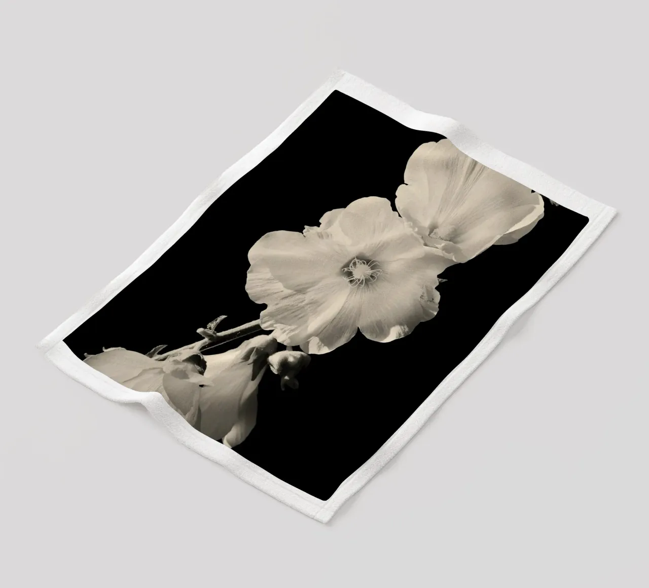 orchidea coperta in pile da Earthly Visions