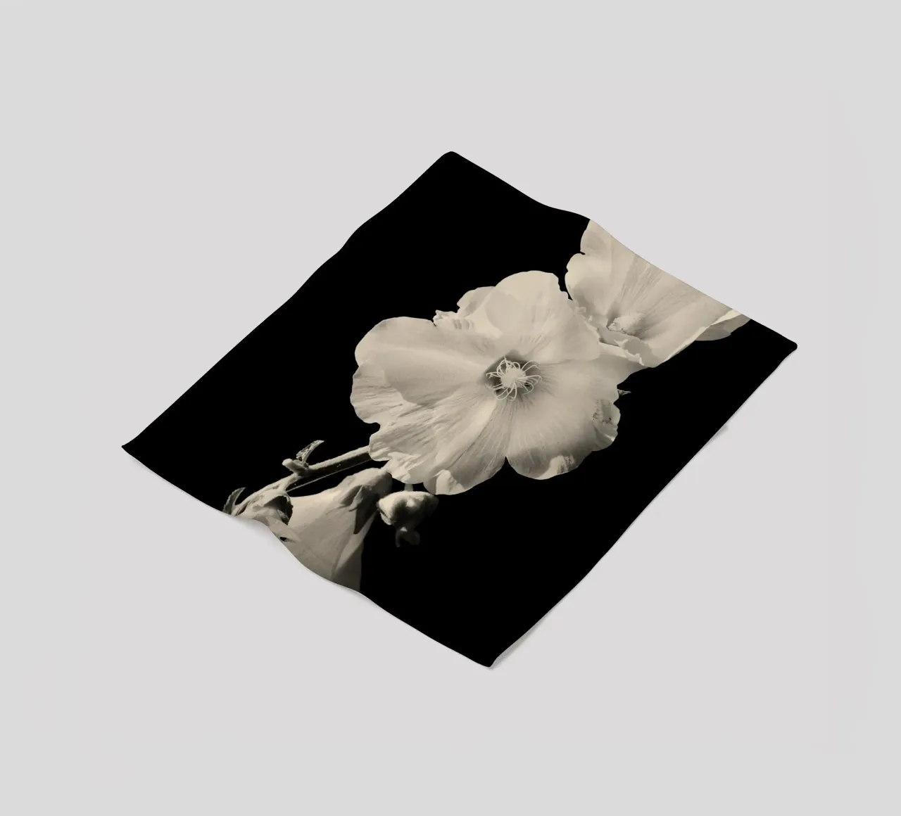 orchidea coperta in pile da Earthly Visions