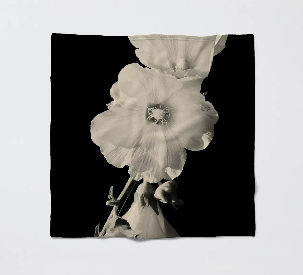 orchidea coperta in pile da Earthly Visions