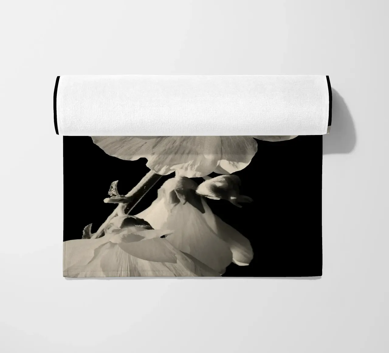 orchidea telo mare da Earthly Visions