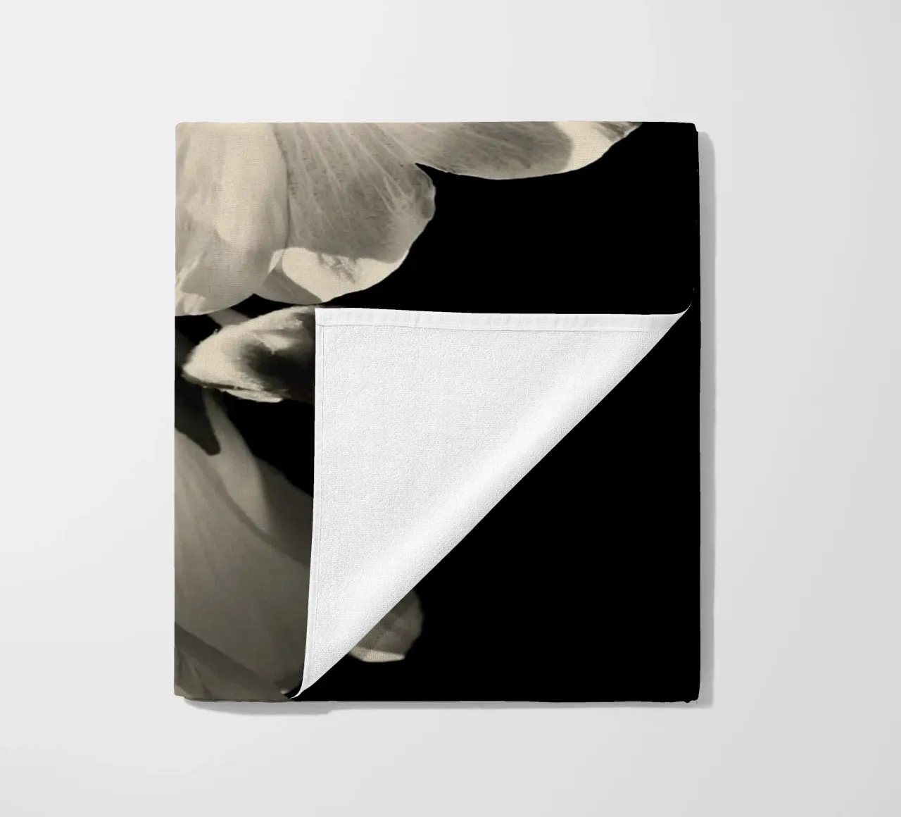 orchidea telo mare da Earthly Visions