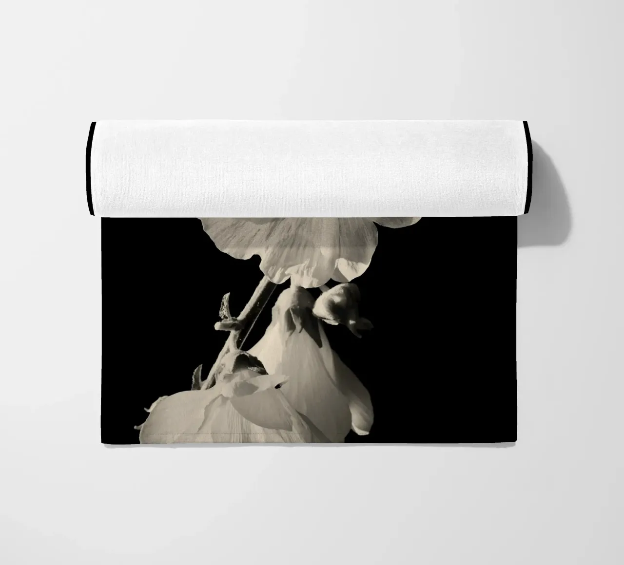 orchidea telo mare da Earthly Visions