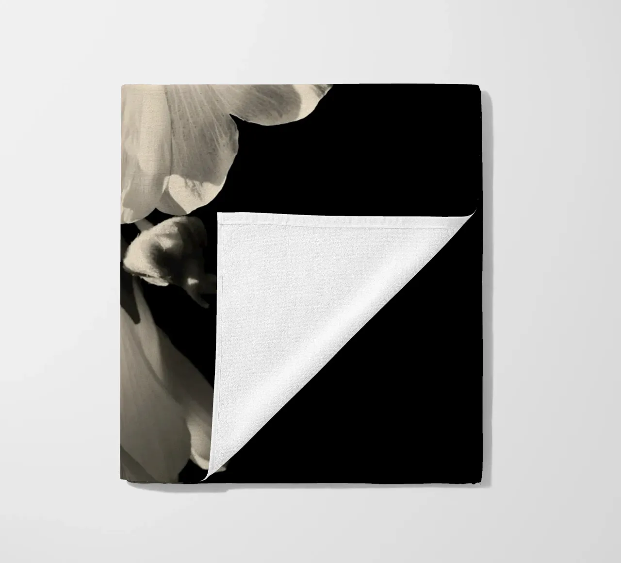 orchidea telo mare da Earthly Visions