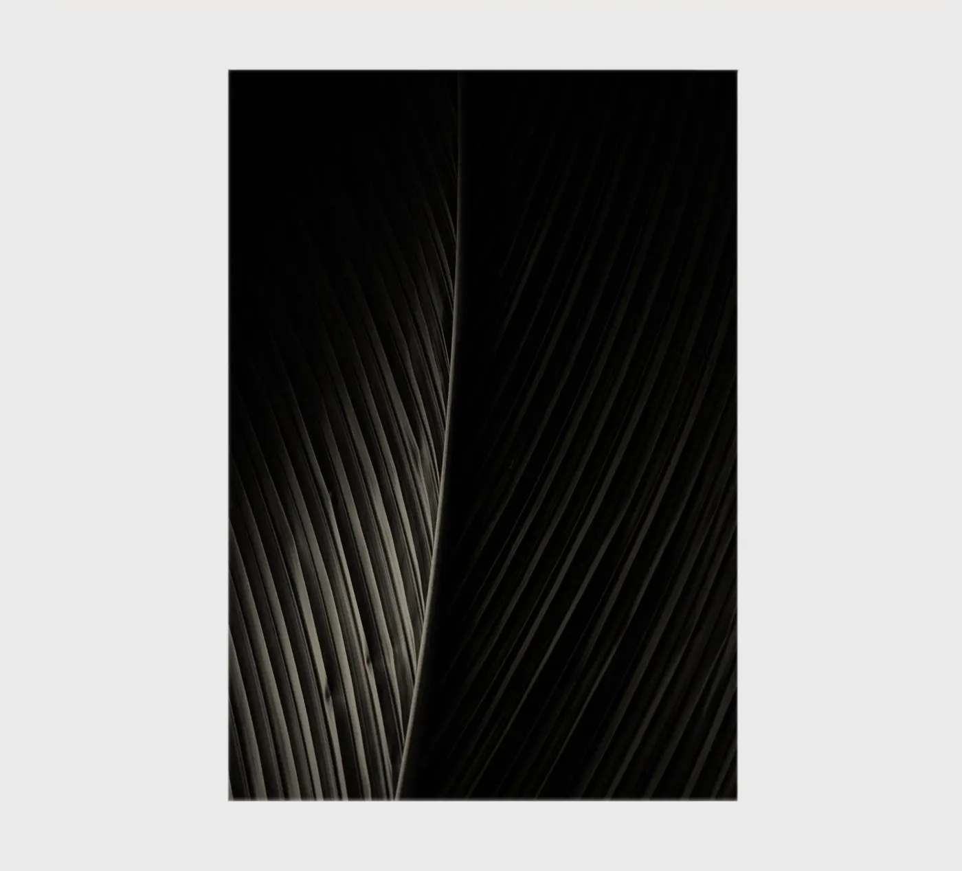 palm leaf notebook by Earthly Visions