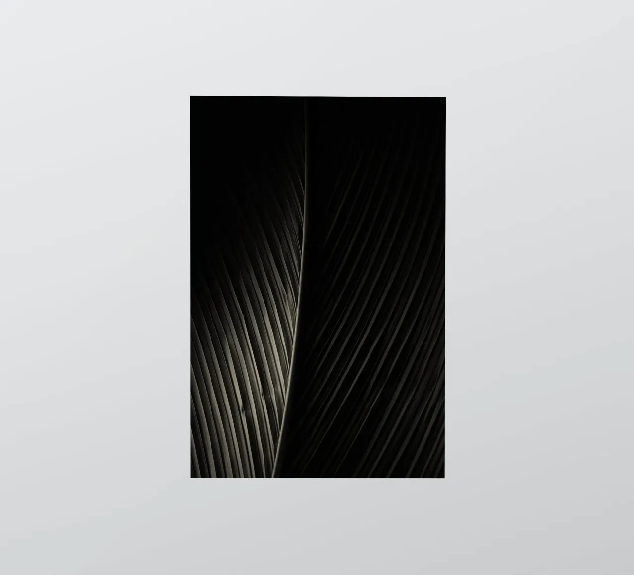 palm leaf sticker by Earthly Visions