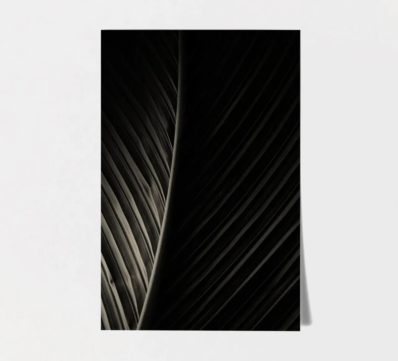 palm leaf sticker sheet by Earthly Visions