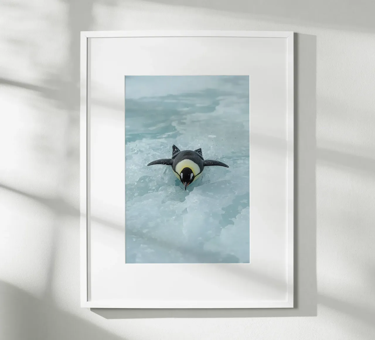 Kaiserpinguin beim Schlittschuhlaufen im Eiswasser Poster mit Aluminium Rahmen von DesignDoodle