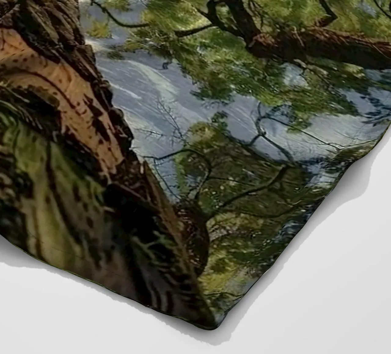 circle storm tree coperta in pile da lifeline